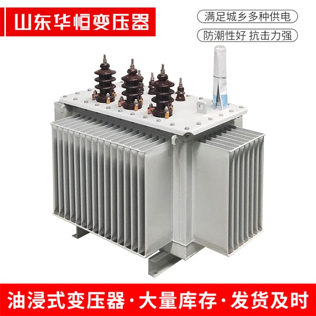 S13-10000/35连江连江连江油浸式变压器厂家